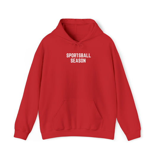 Sports Ball Season  Heavy Blend™ Hooded Sweatshirt